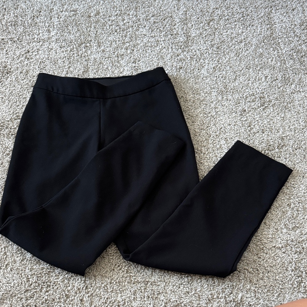 Tapered Dress Pants